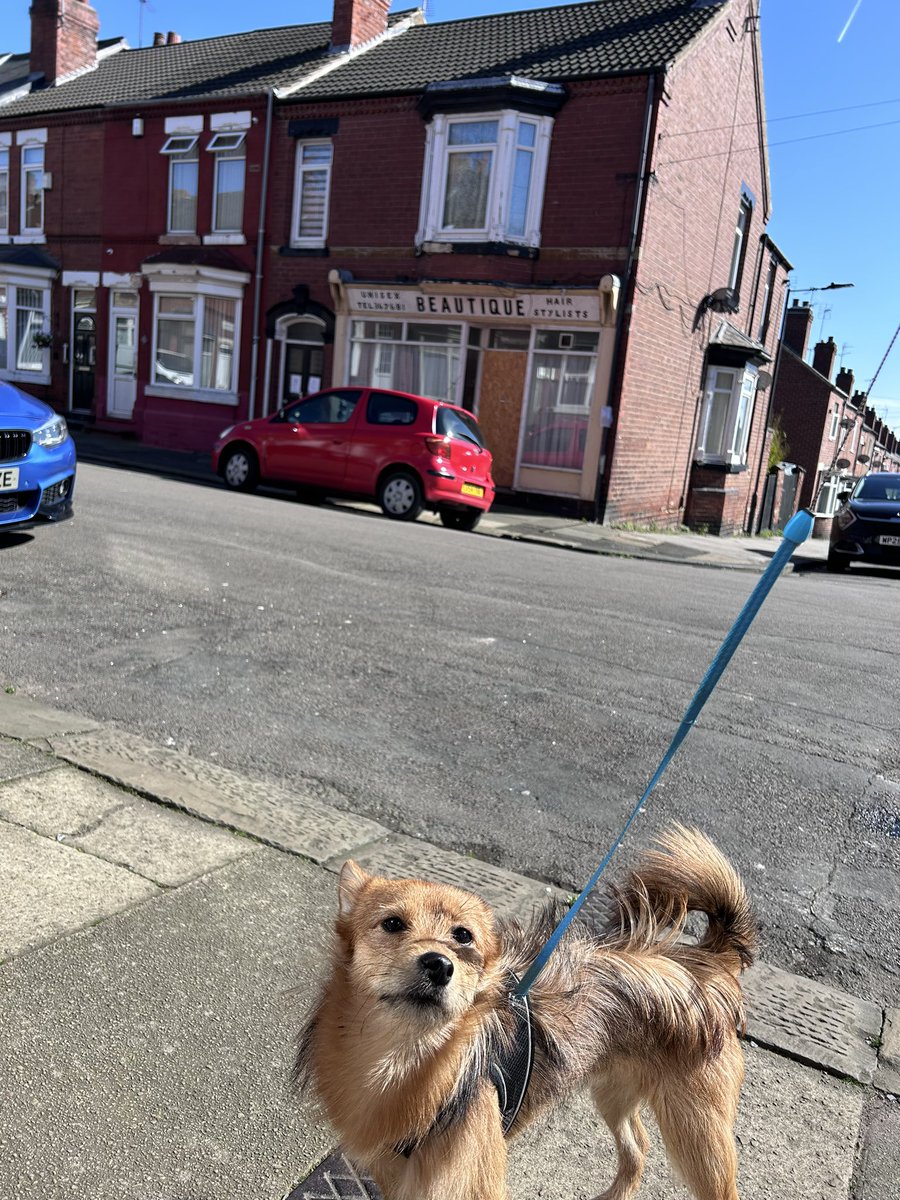 Leo _RIP TetleyBum 🌈🌈😊😊🐶🐶 tweet media