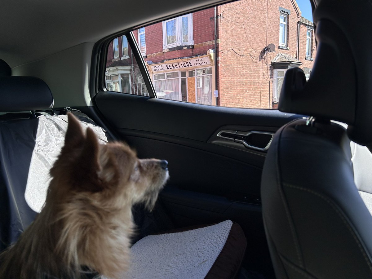 Leo _RIP TetleyBum 🌈🌈😊😊🐶🐶 tweet media