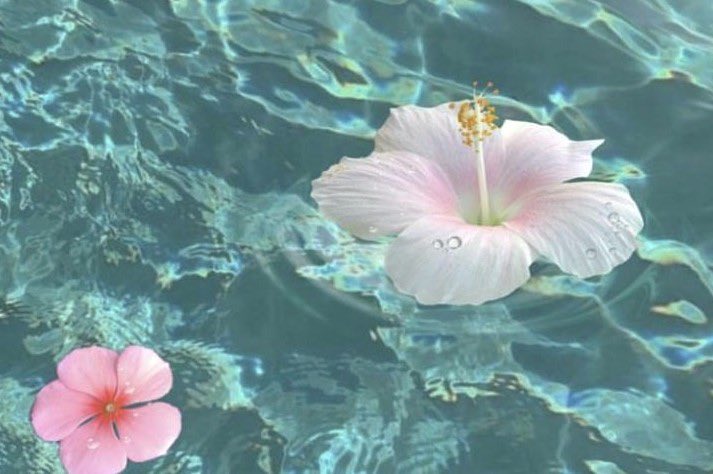 ˚ʚ♡ɞ˚ tweet media