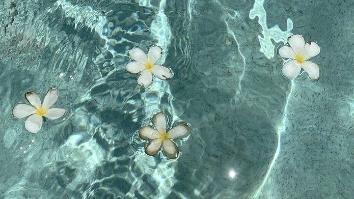 ˚ʚ♡ɞ˚ tweet media