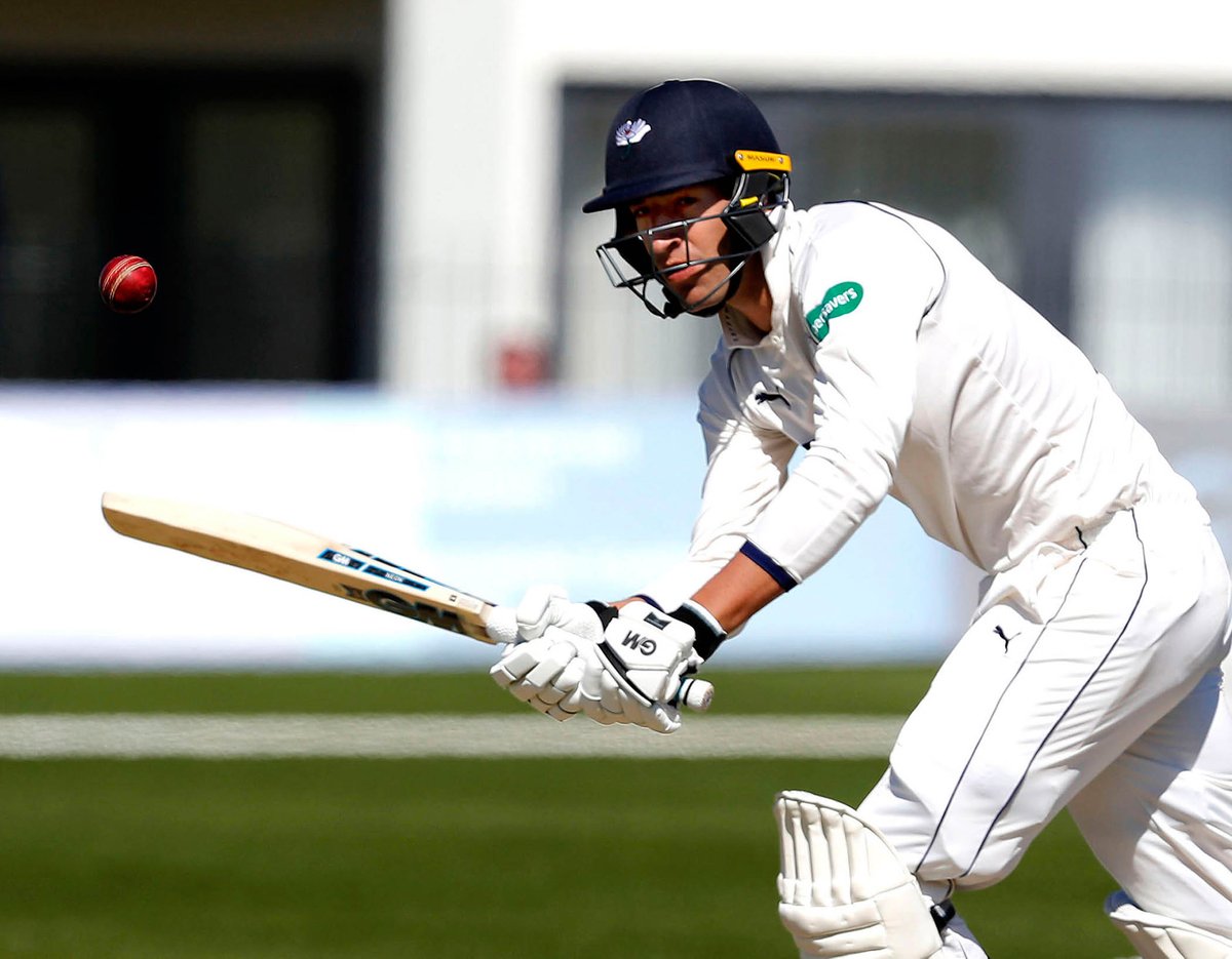 White Rose Files tweet media