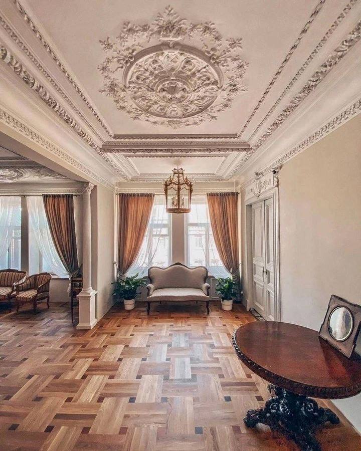 Дикий Петербург tweet media