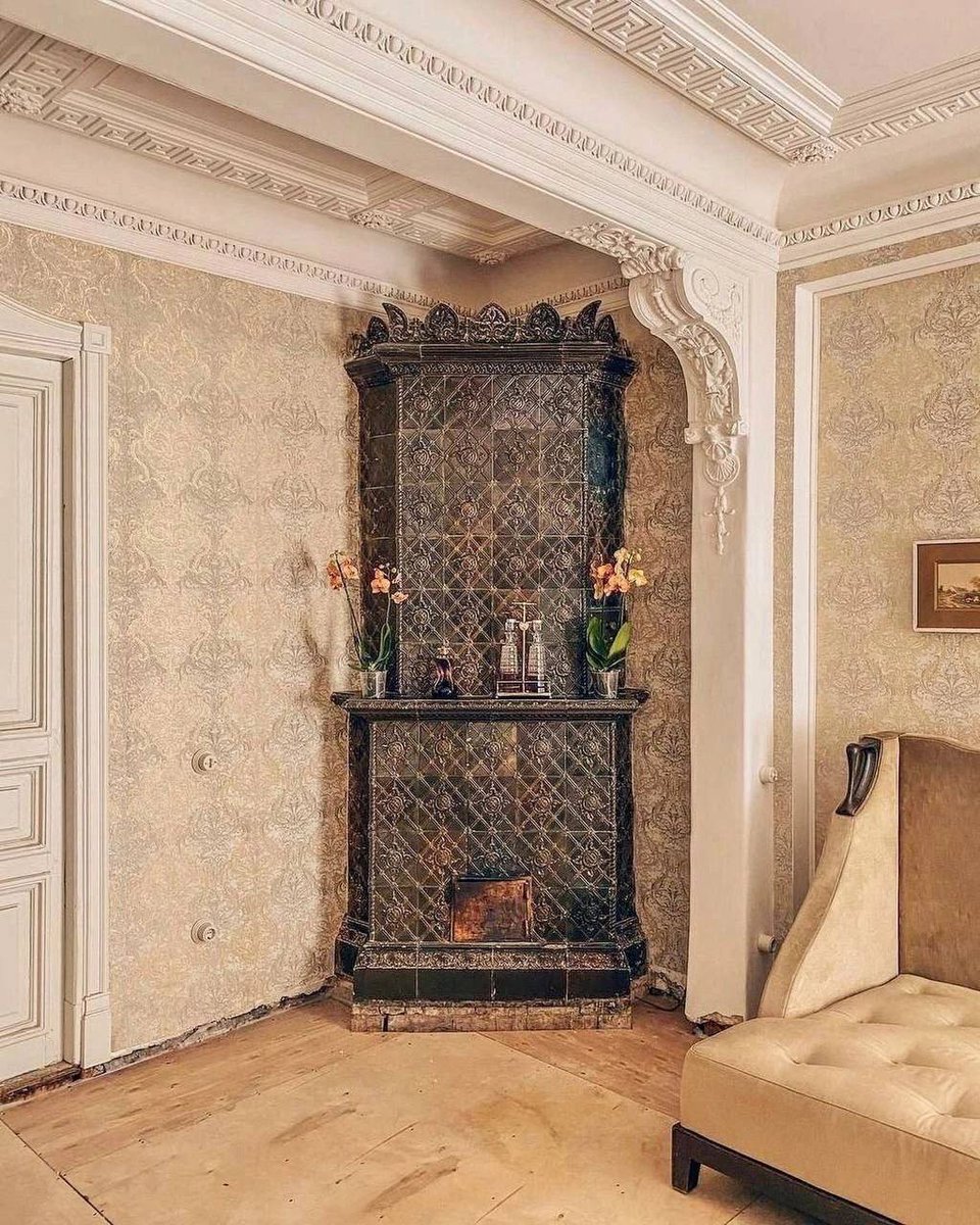 Дикий Петербург tweet media