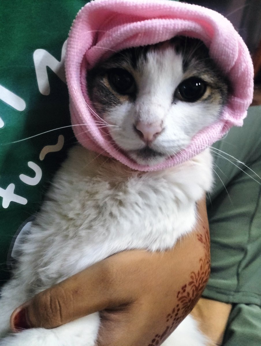 Nem✨ Vgen OPEN tweet media