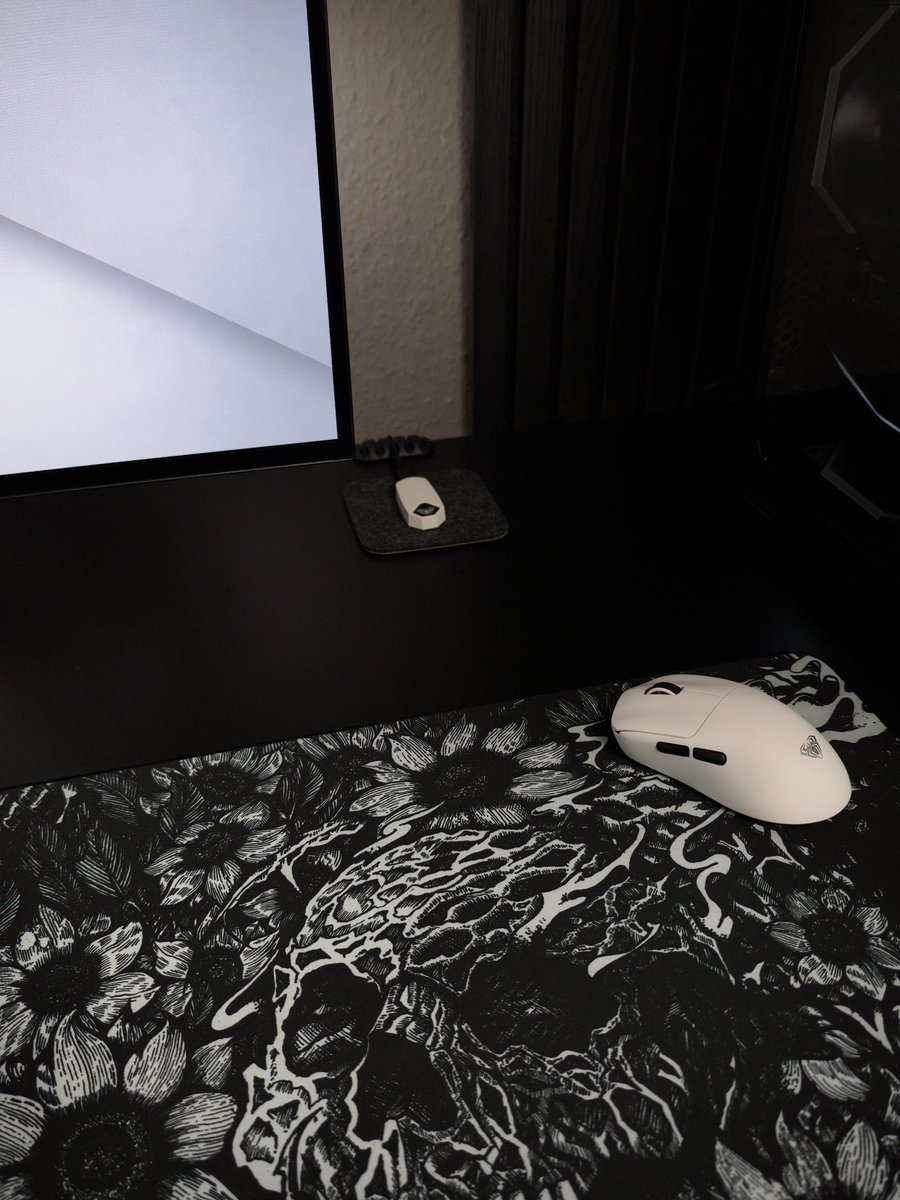 𝗡𝗢𝗖𝗞 tweet media