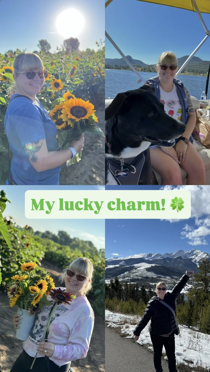 MileHighGreco tweet media