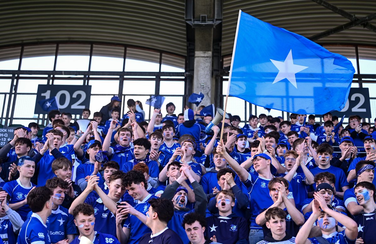 Leinster Domestic tweet media