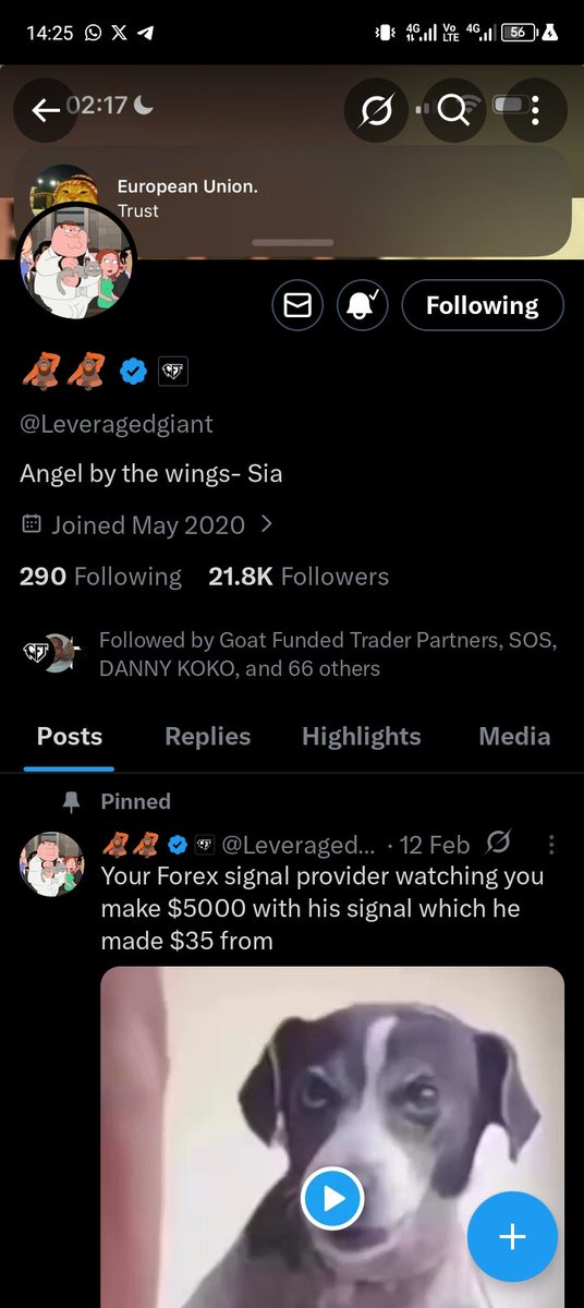 ☯️ OG KinGpin tweet media