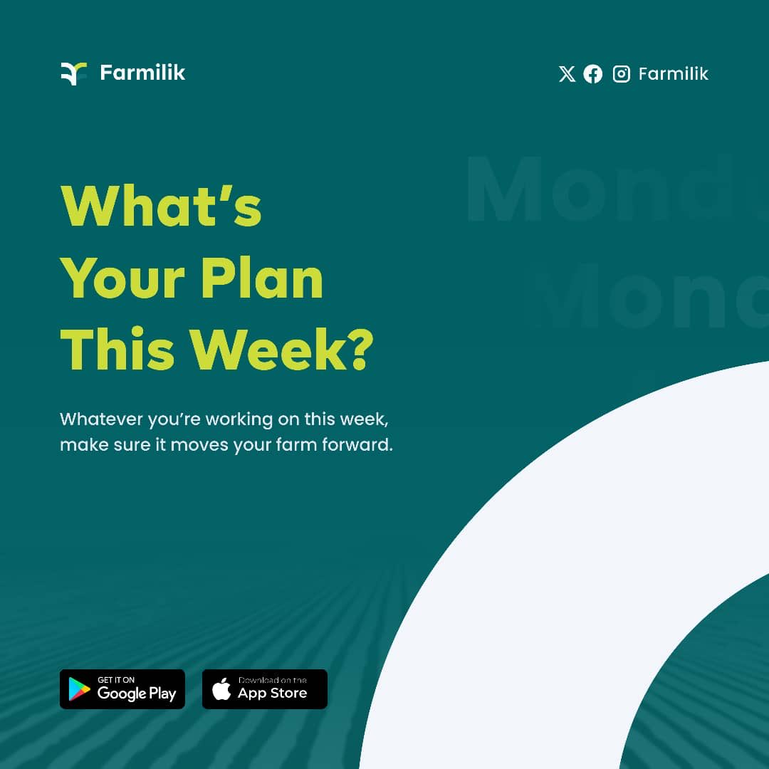 Farmilik tweet media