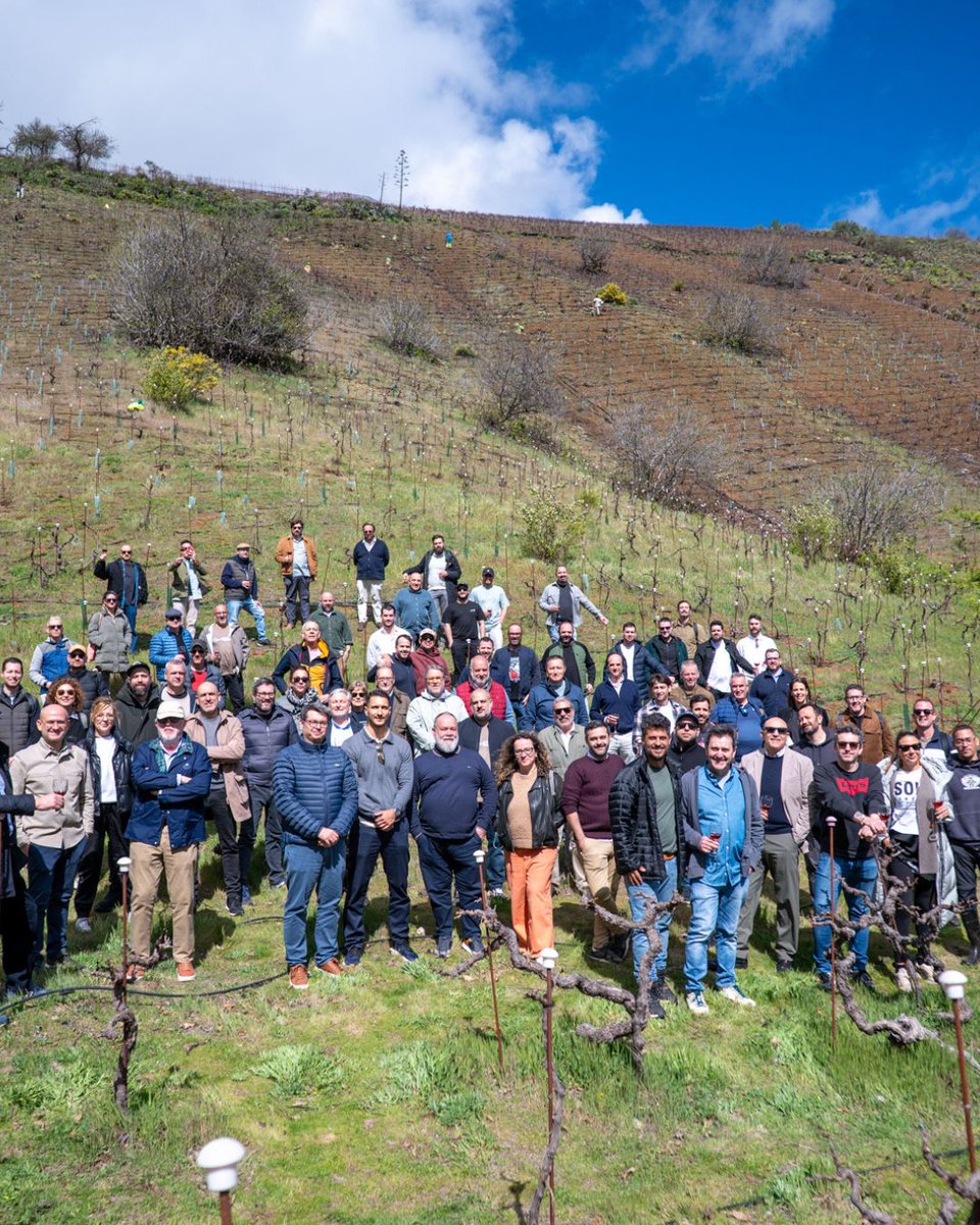 TerraeRural's tweet photo. #terrae2026
Cocineros rurales, un mismo origen: la tierra. 🌿
En los viñedos de Carmelo Peña, quienes dan vida al territorio se reúnen para compartir, aprender y seguir construyendo comunidad @GranCanariaCab @CamaraGCanaria @grancanariamg https://t.co/QwKBtcPSw3