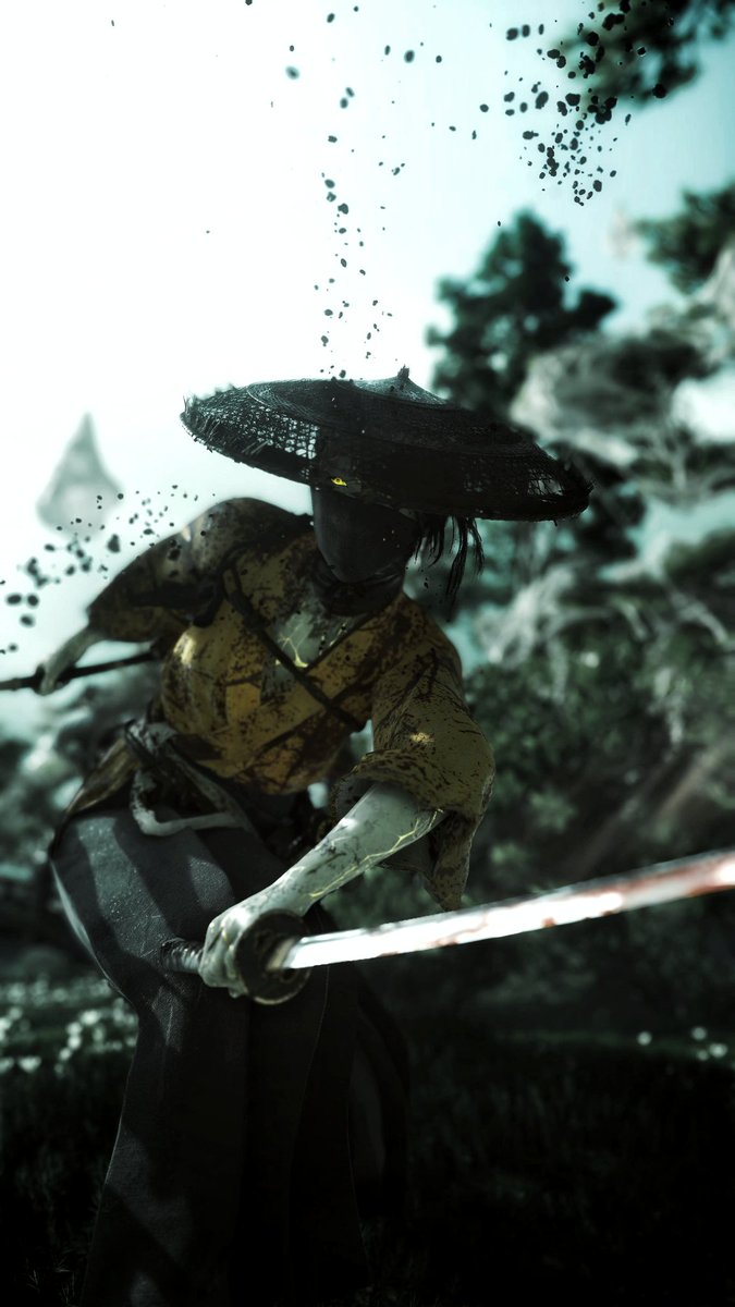 GrayFoxVP tweet media