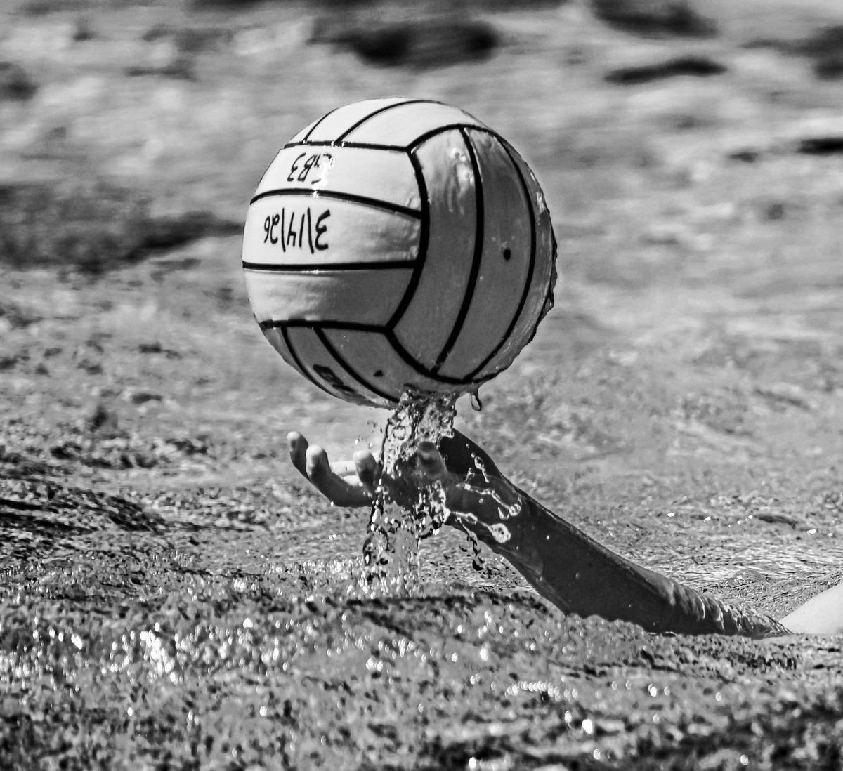 Andy Silvas Photography tweet media