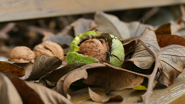 Landon Quince tweet media