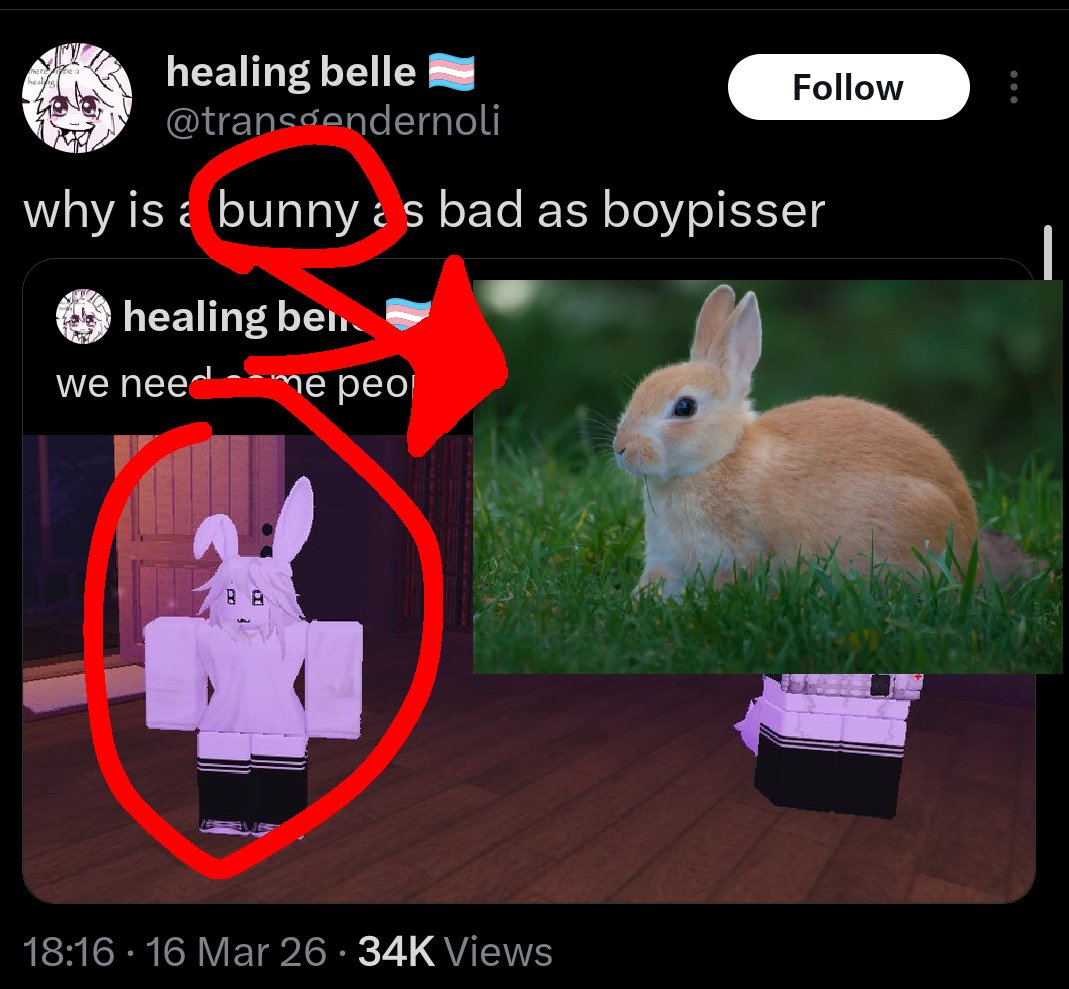 Squalish tweet media