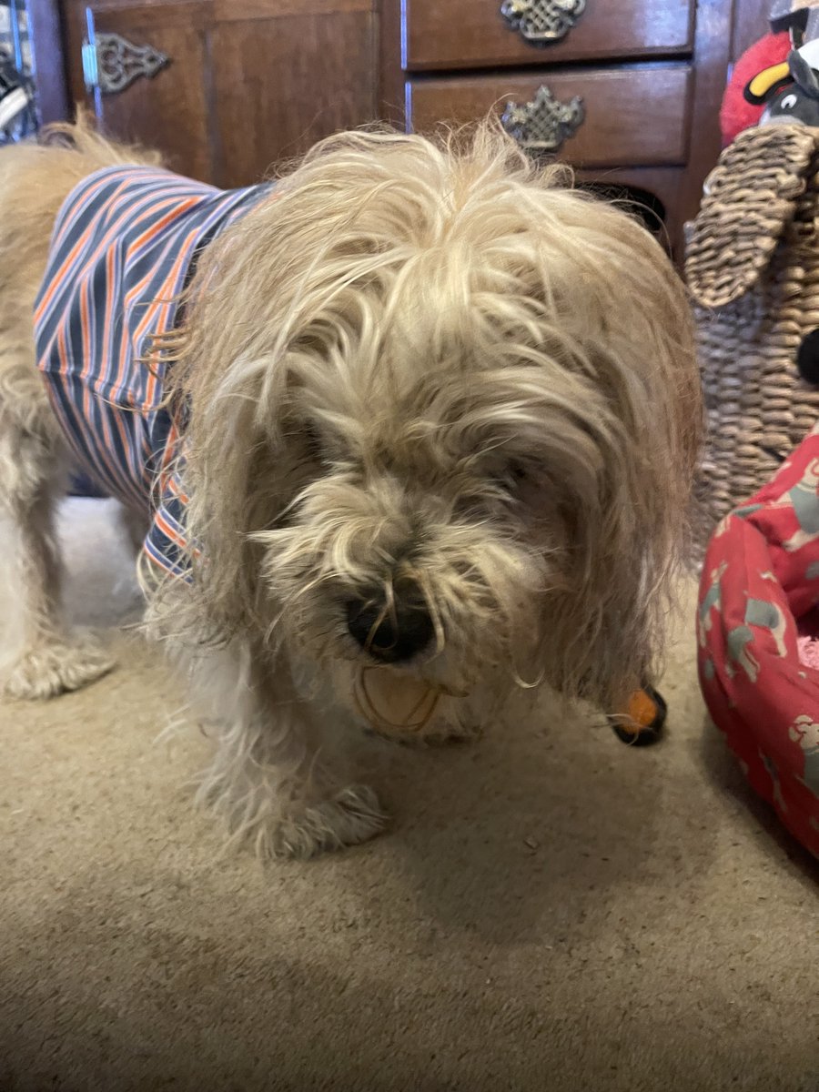 Lord Alfred’s Diary tweet media