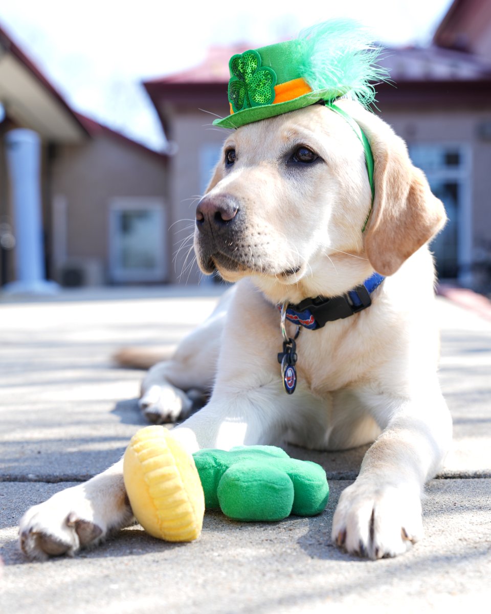 New York Islanders tweet media