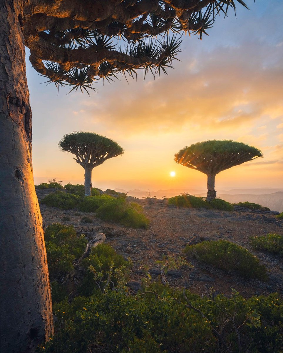 Planet Doğa tweet media