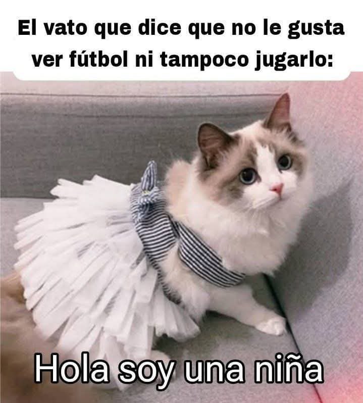 Cazorliti tweet media