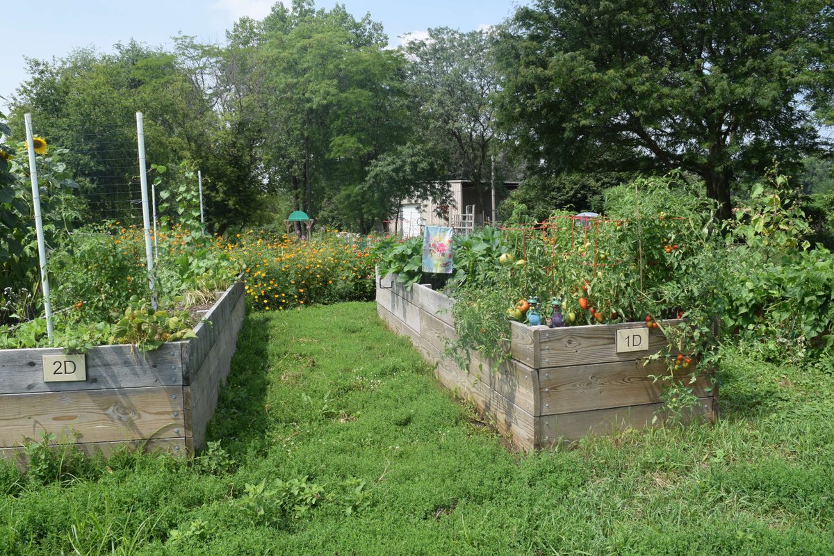 Naperville Park District tweet media