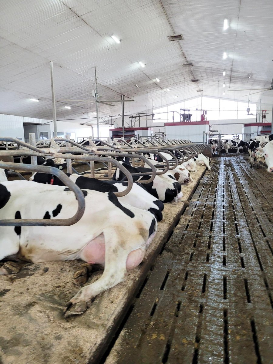 Promat Inc. tweet media