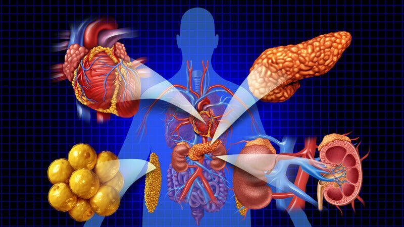 MIMS Learning tweet media