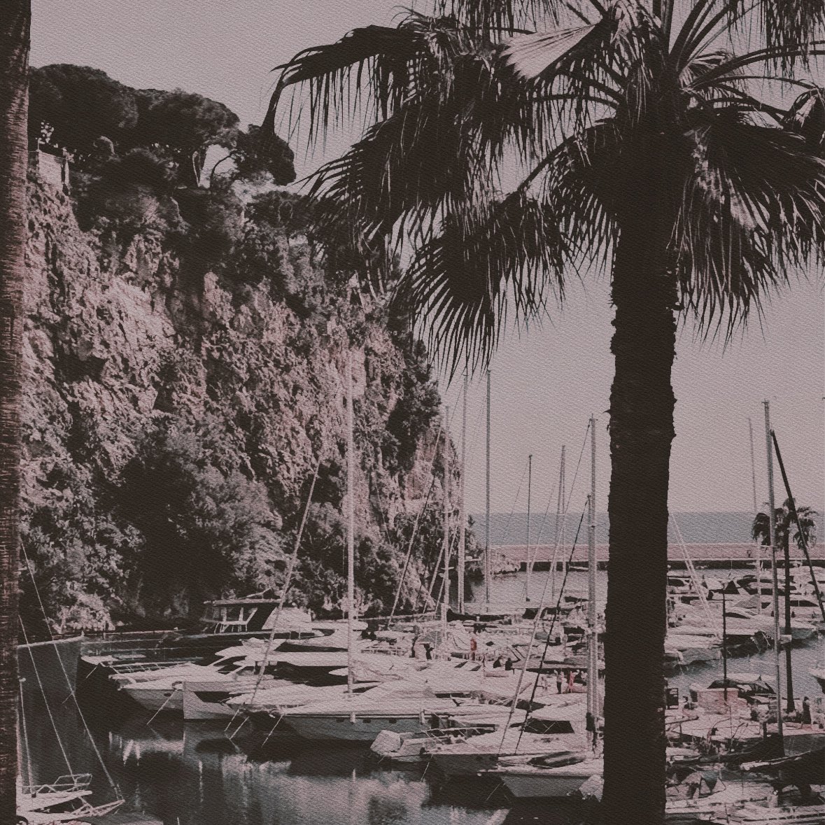  𝐂𝐮𝐫𝐬𝖊𝐝 𝐃𝖆𝐮𝐠𝐡𝐭𝐞𝐫 tweet media