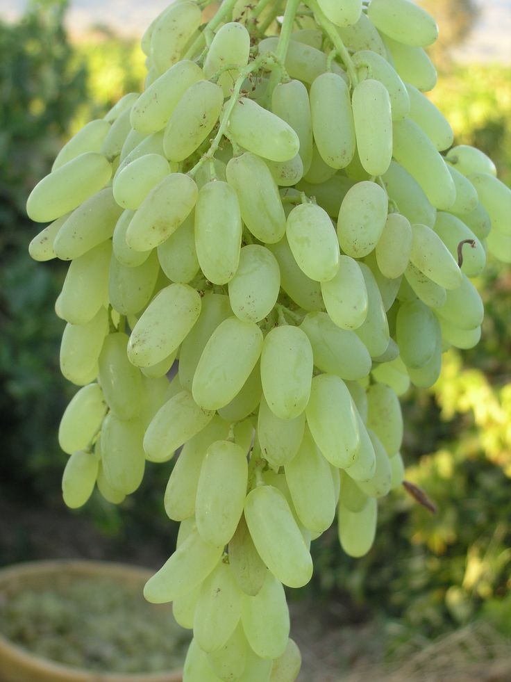 Xenia 🍒🍒🍒 tweet media