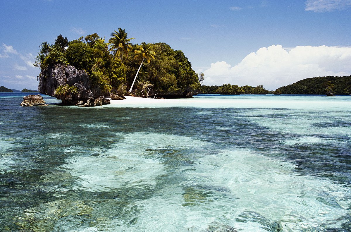 manuelacasasoli's tweet image. Read about Neolithic seafarers...

"Genetic evidence confirms Palau’s first settlers descended from Southeast Asians who had intermingled with the Papuans, Indigenous peoples who settled the island of New Guinea some 50,000 years ago."

#Science #Archaeology #Humans 
⏯️Ancient