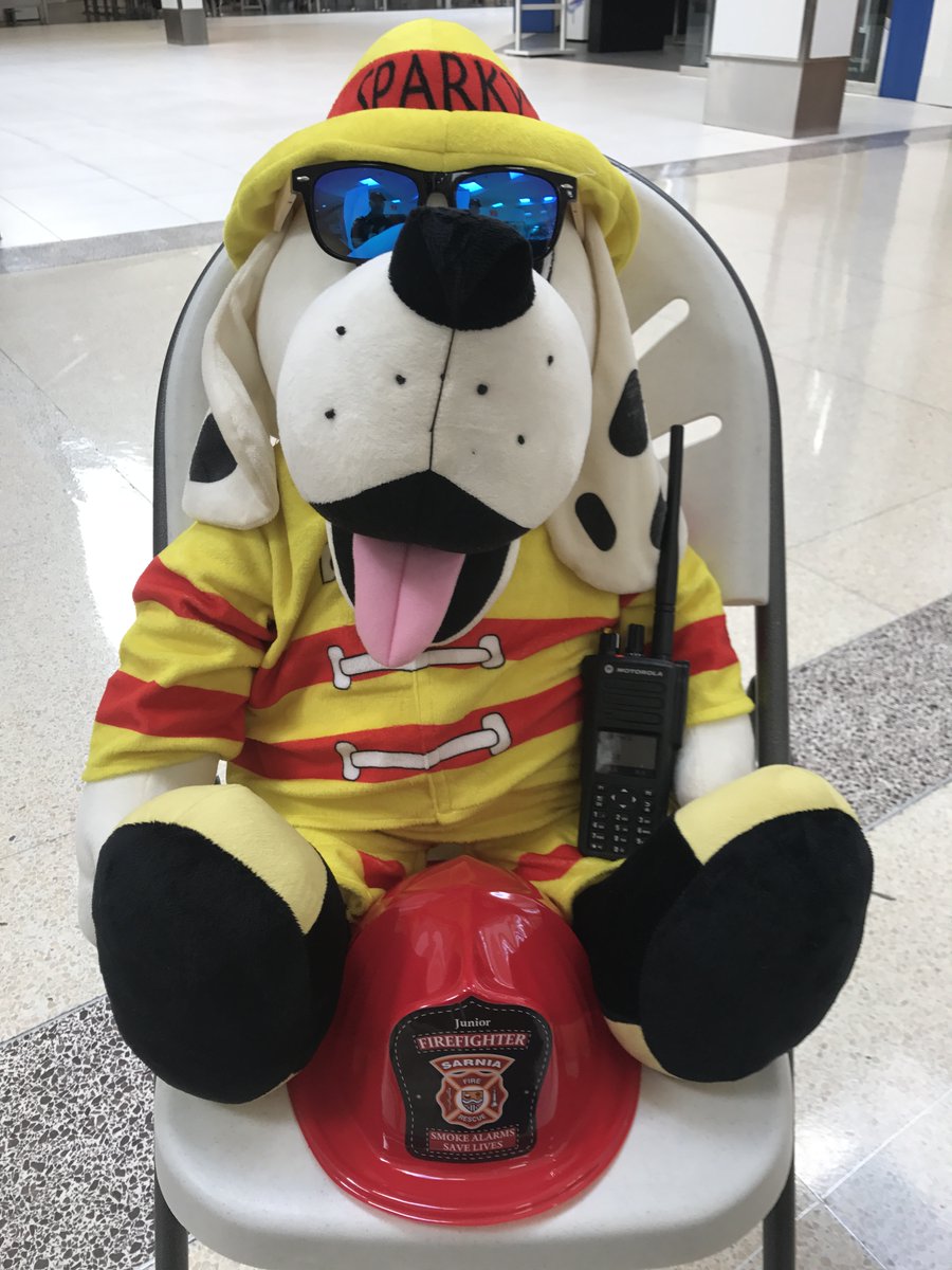 Sarnia Fire Rescue tweet media