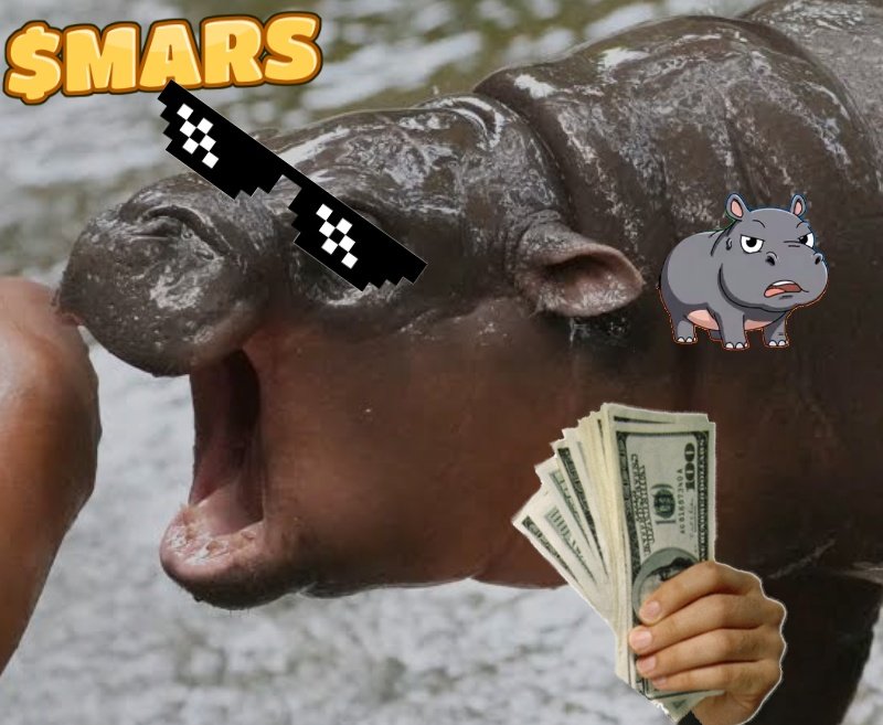 Leo.onchain tweet media