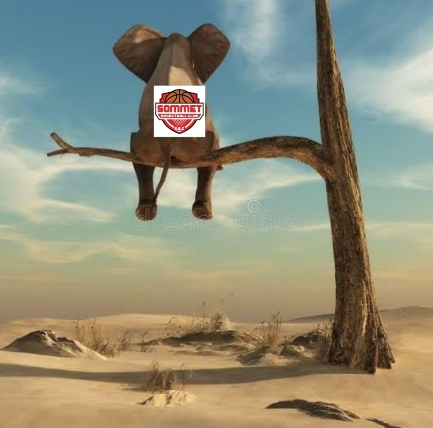 Sommet Spartans tweet media