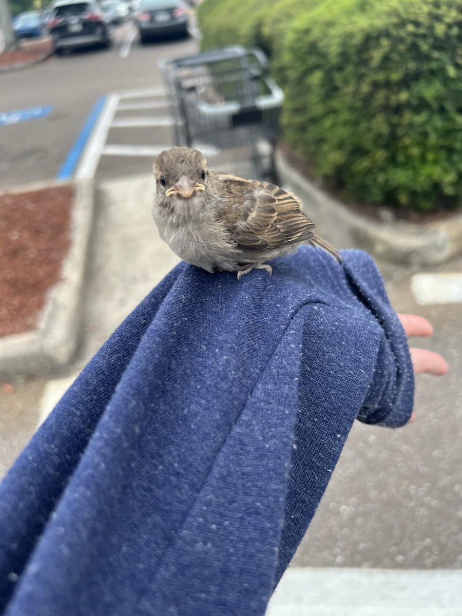 derpina ☘︎ tweet media