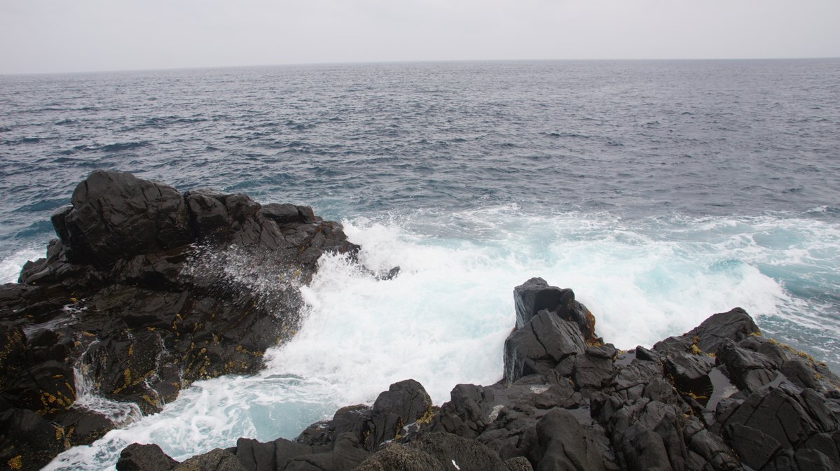 OUTDOOR PARK 【アウトドアパーク】 tweet media