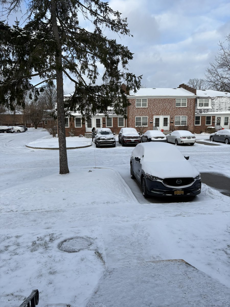 Sarah Tranelli tweet media