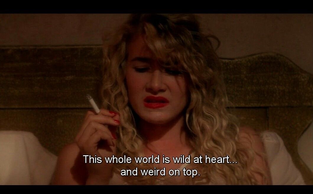 Sevignyism tweet media