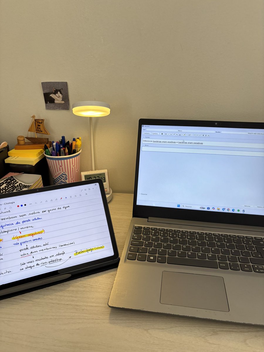 nalice 🩺 🏷️ cupom mateco: NALICE tweet media