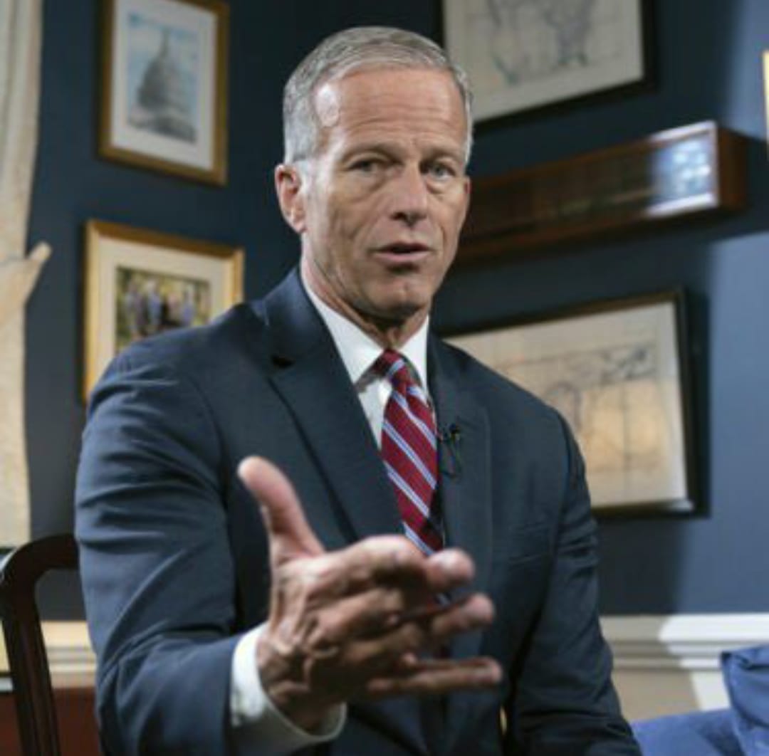 Dark Darling tweet media