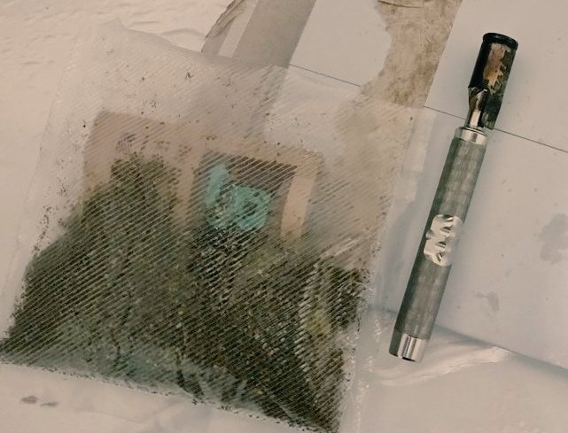 El_Gringo 🇦🇱 tweet media