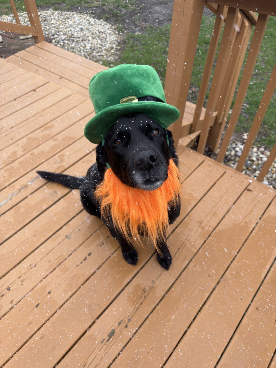 Happy St Patrick’s Day!