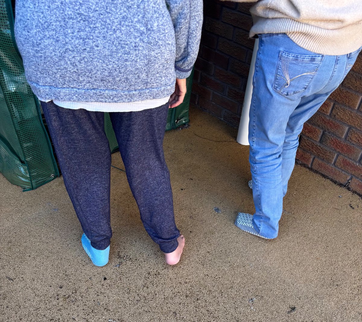 Kingfisher Ward tweet media