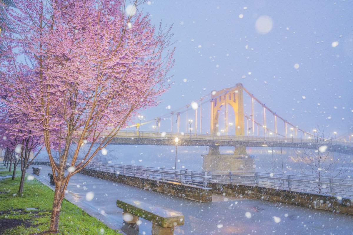 Dave DiCello tweet media