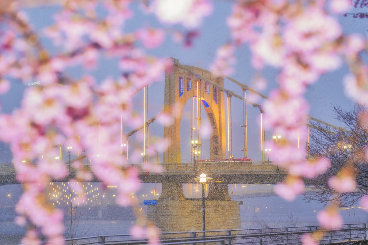 Dave DiCello tweet media