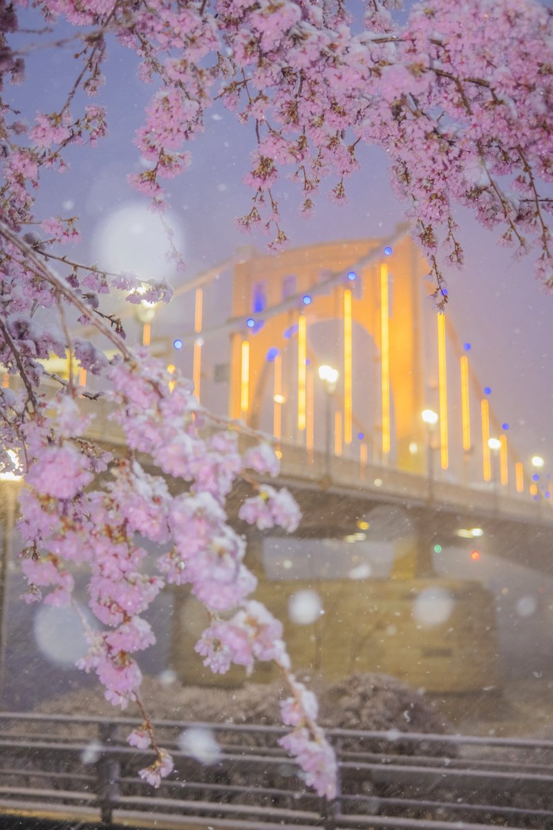 Dave DiCello tweet media