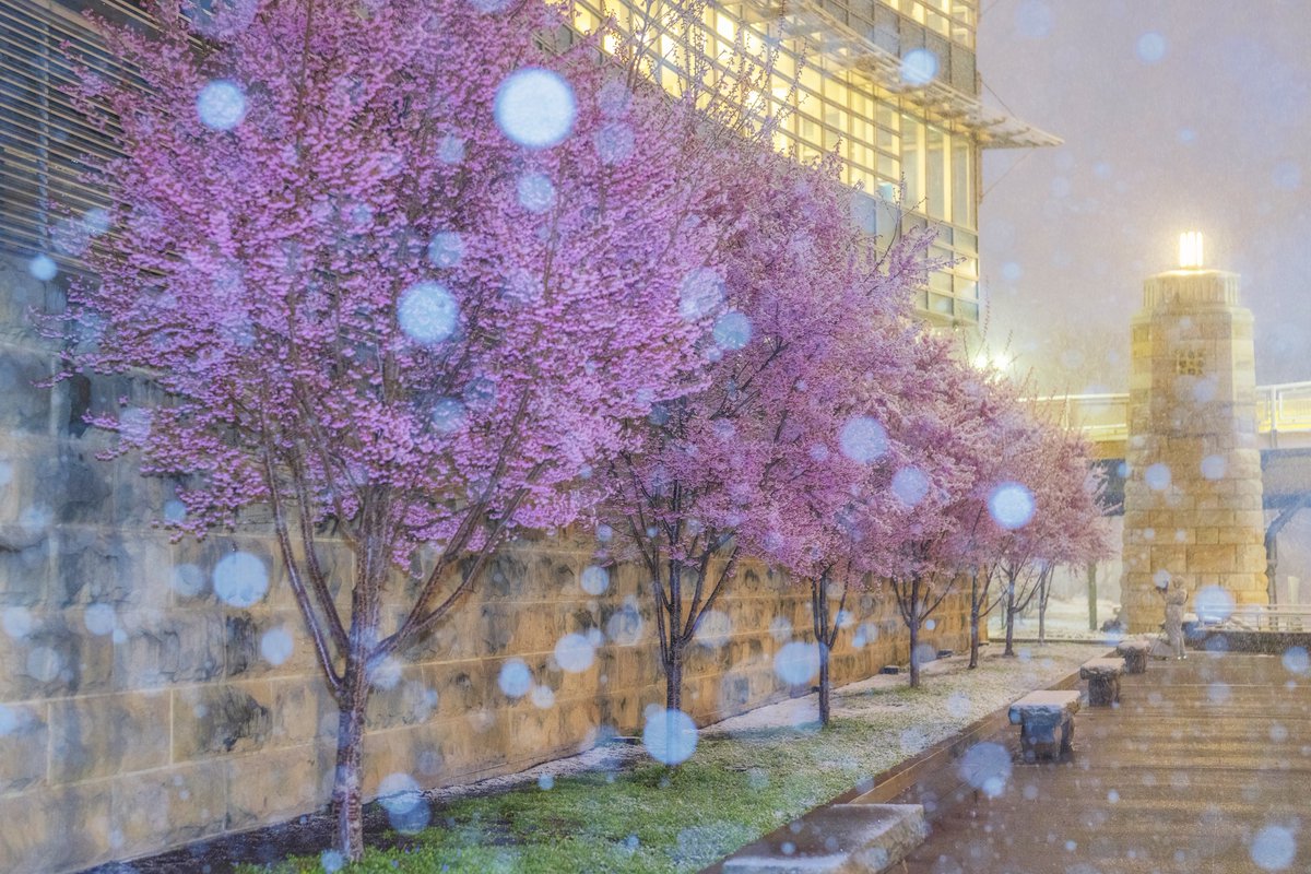 Dave DiCello tweet media