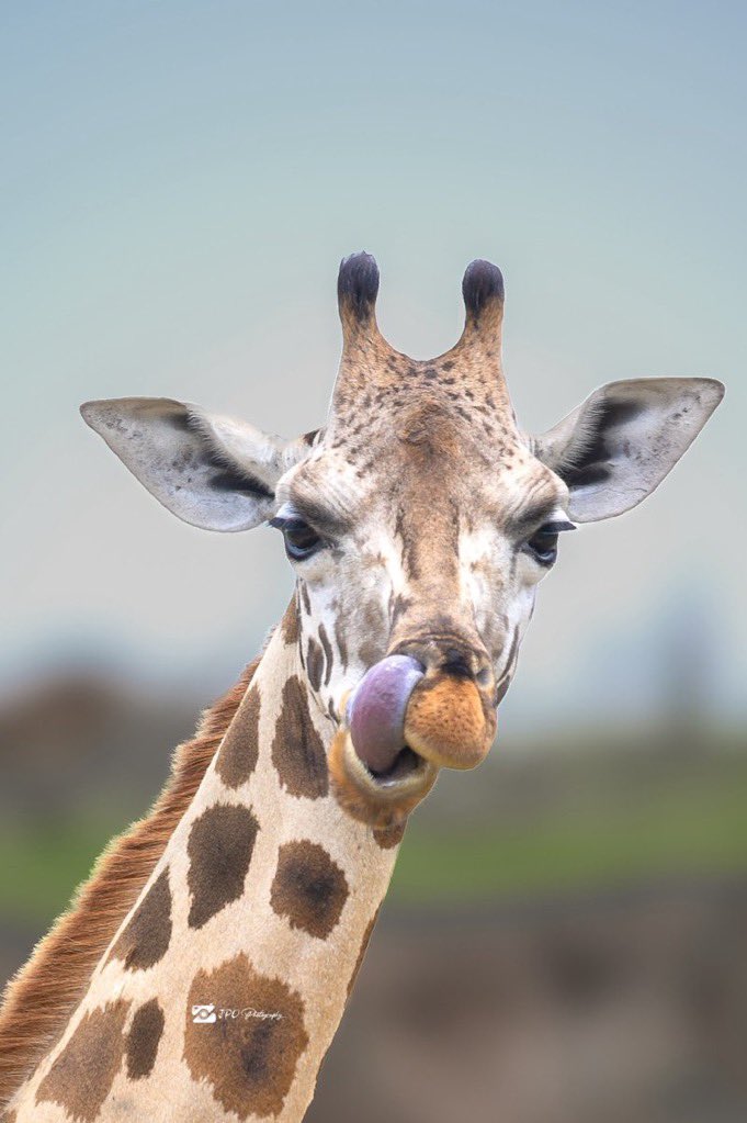 Finest Media. tweet media