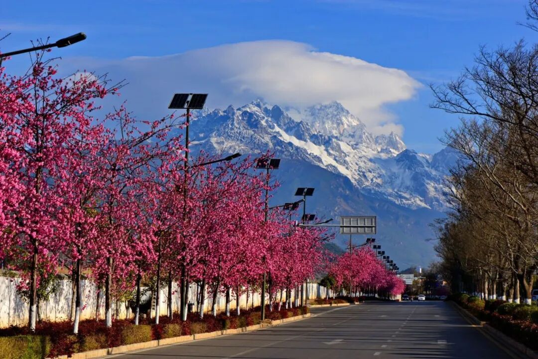 玉龙第三国（互fo💯） tweet media