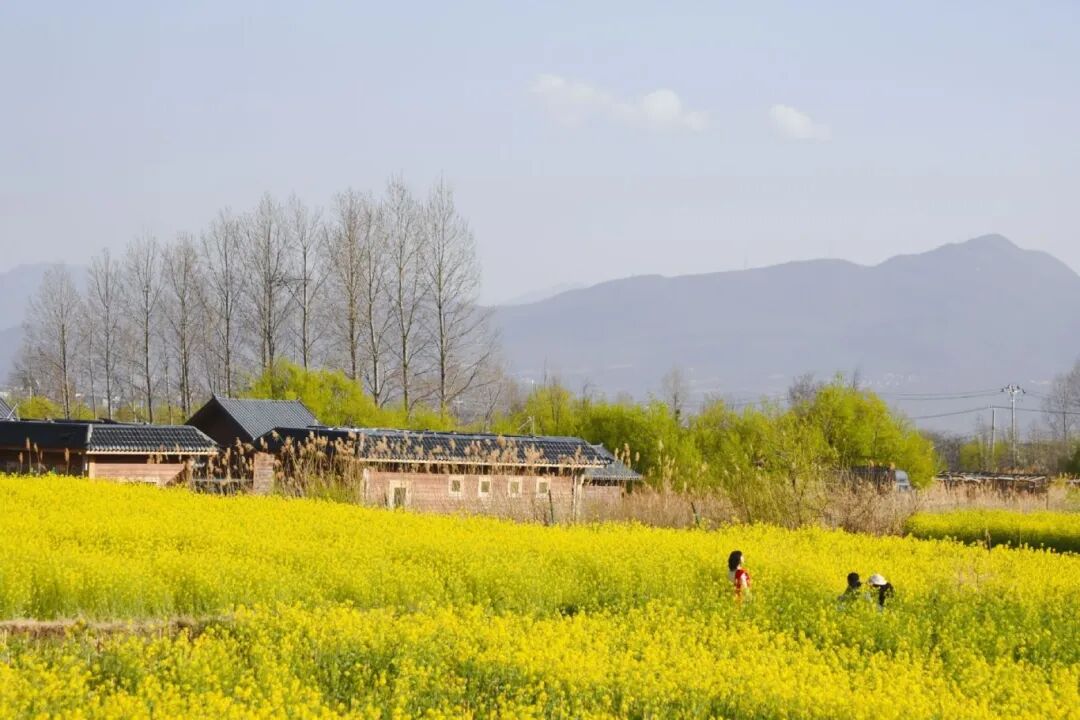 玉龙第三国（互fo💯） tweet media