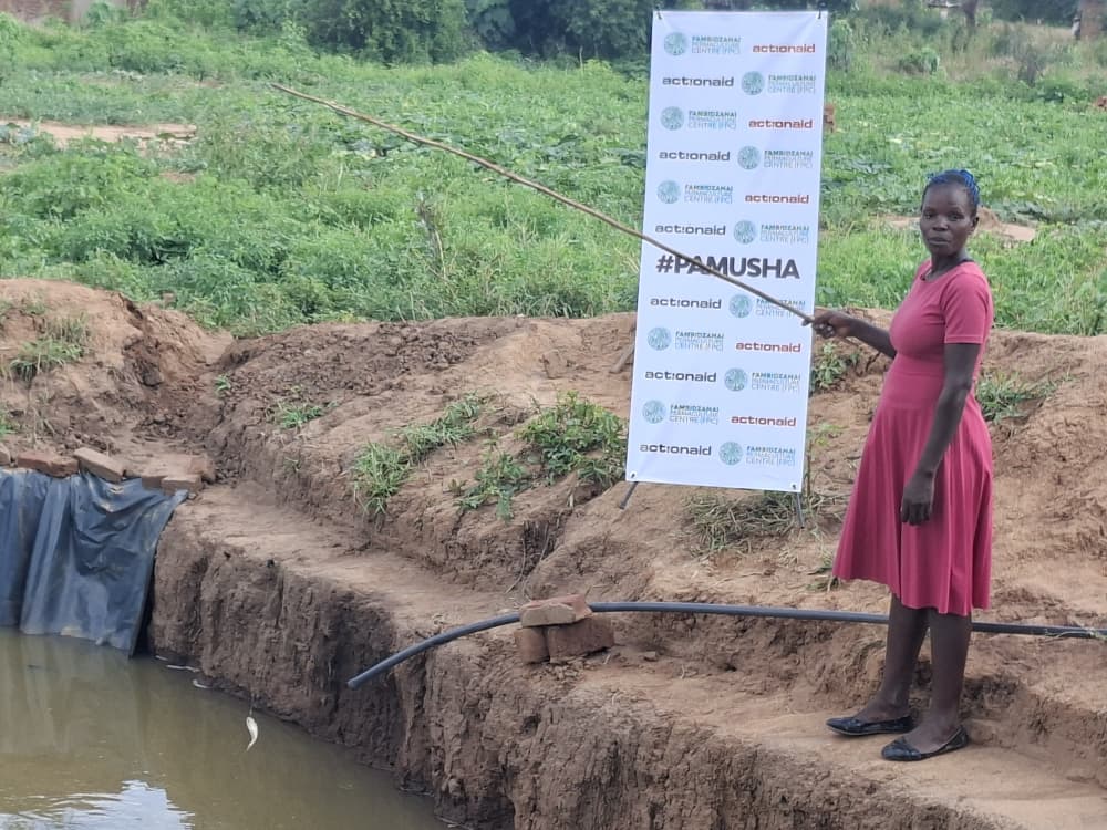 Fambidzanai Permaculture Centre ZWE tweet media