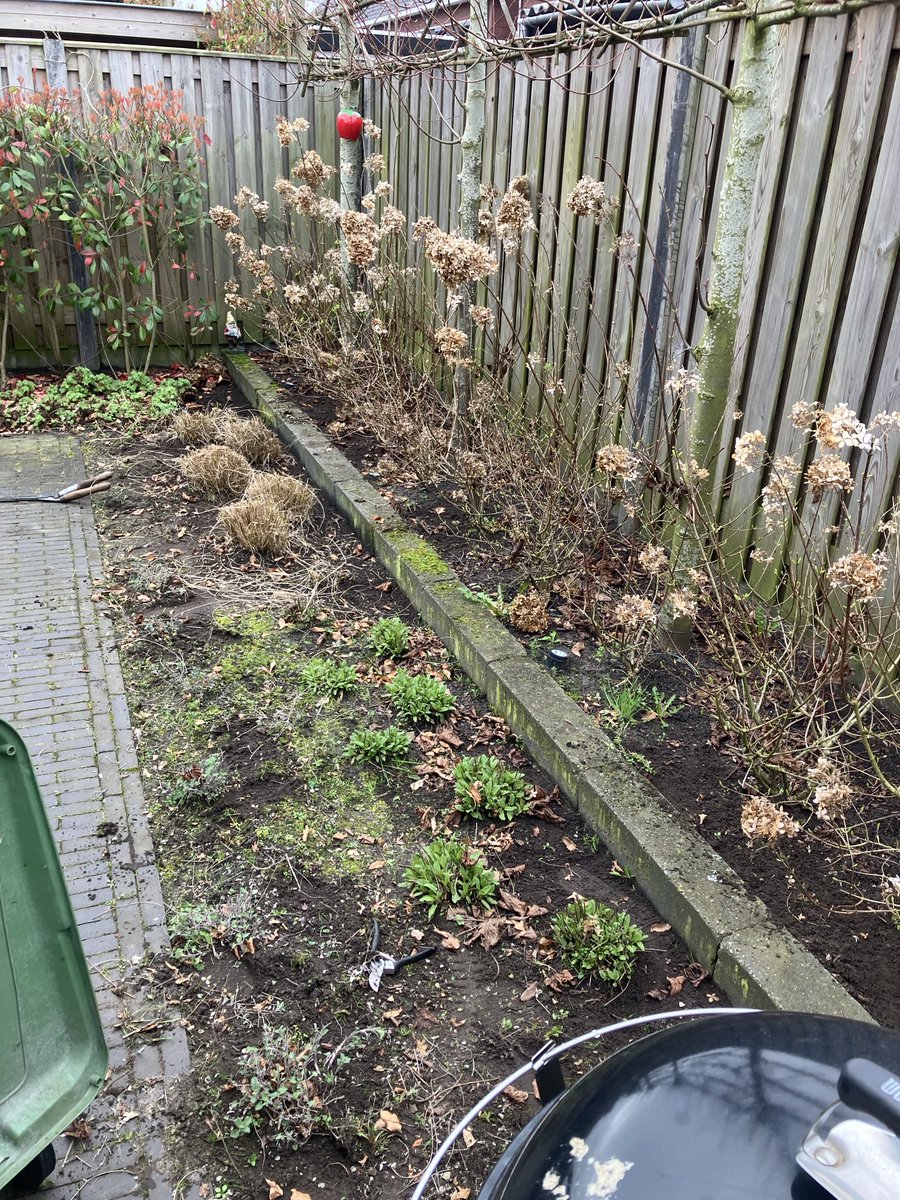 Beautiful Garden tweet media