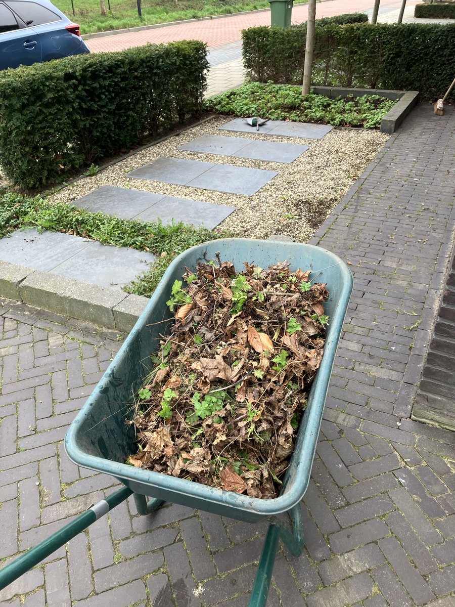 Beautiful Garden tweet media